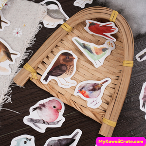 Cartoon birds stickers