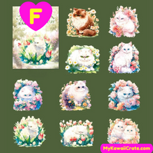 Kawaii Adorable Kittens Shell Light Decorative Stickers 10 Pc Pack