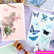 Butterflies Postcards