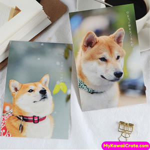Cute Dogs Postcards