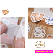 Cartoon Animals Expressions Decorative Stickers 40 Pc Pack
