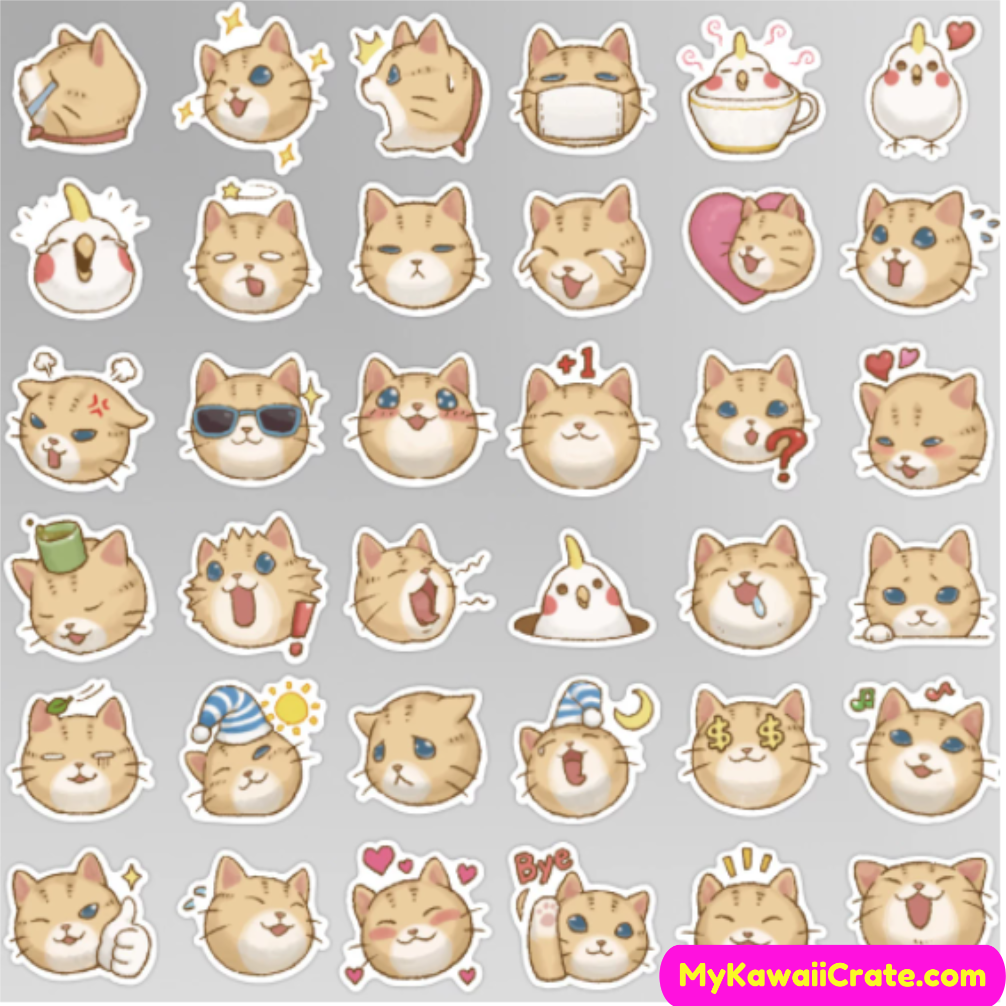 Kawaii Naughty Cat Waterproof Stickers, Funny Cat Stickers