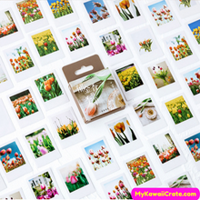 Colorful Flower Stickers