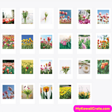 46 Pc Pack Tulip Season Decorative Stickers