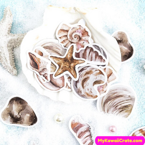 seashell stickers