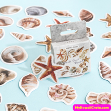 Decorative sea shell stickers