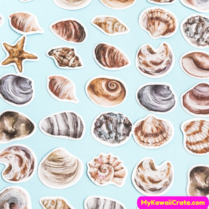Beach Sea Shells Decorative Stickers 46 Pc Set
