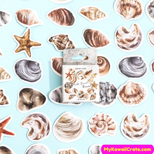 Sea shell stickers