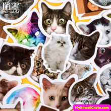 Cat face stickers
