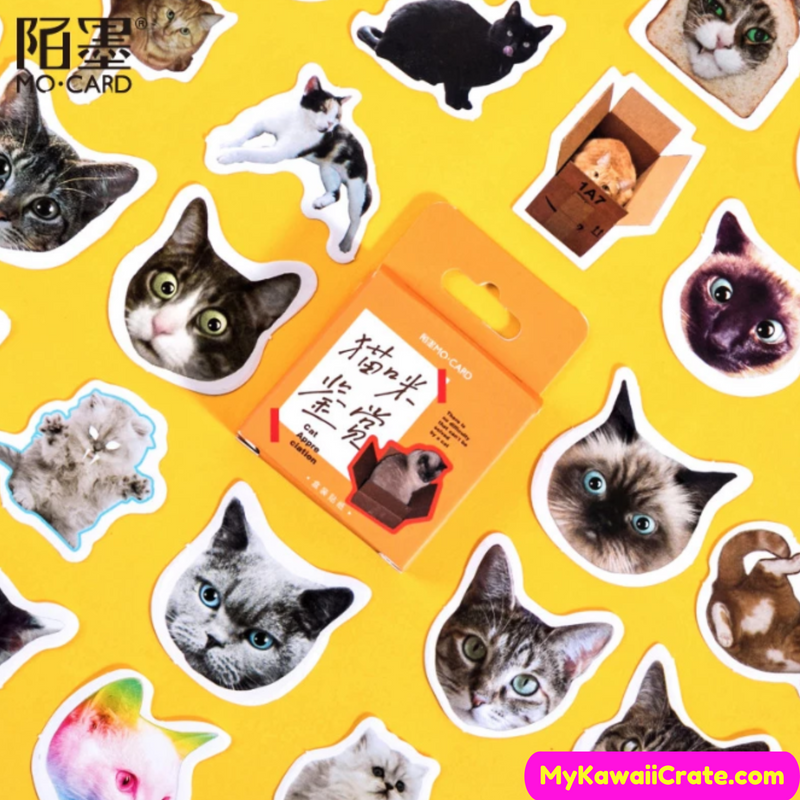 50Pcs Cat Stickers, Random Cat Stickers, Glossy Sticker
