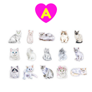 Cute Fluffy White Cat Sticker - Adorable Feline Free PNG Sticker
