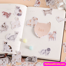 Kawaii Cats and Dogs Breeds Decorative Stickers 45 Pc Set