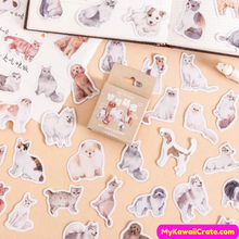 Cats and dogs stickers