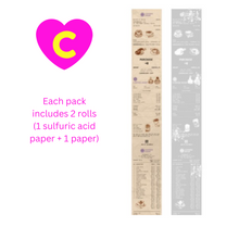 Vintage Style Tickets Receipts Sulfuric Acid Paper Decorative Tapes 2 Rolls Set